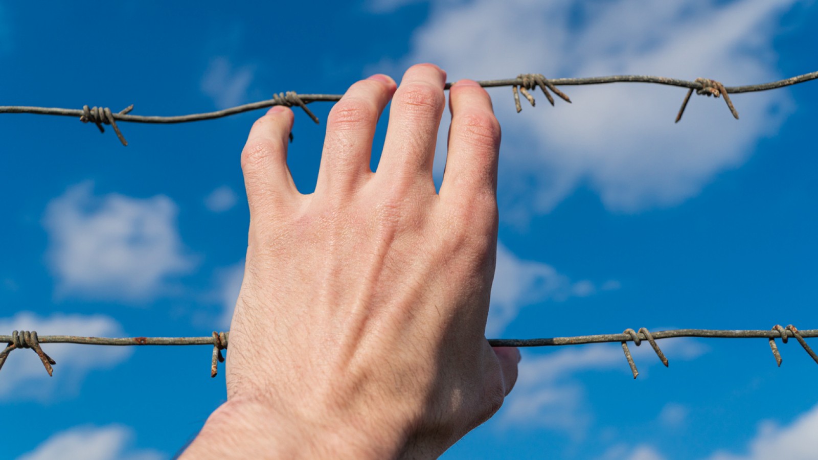 <p>A hand holds a barbed wire against the sky. Refugee. Freedom concept. <a class="continue" href="https://portada.com.ar/falsas-denuncias-una-moda-sin-limites/a-hand-holds-a-barbed-wire-against-the-sky-refugee-freedom-concept/">Continúa leyendo<span> A h